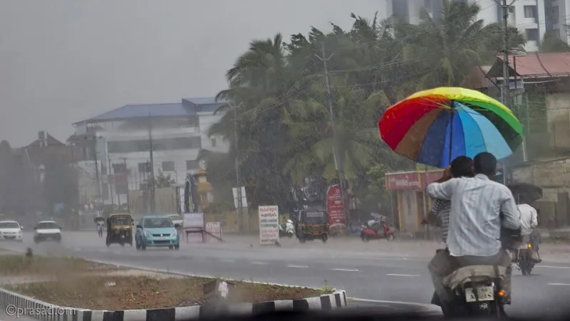 Rain, Rhythm, and Reel: How Kerala's Monsoon Became Malayalam Cinema's Secret Ingredient